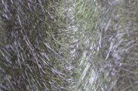 Bwlchyddar fibreglass roof work